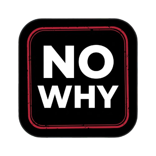 Enter No Why Game